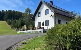 Waldheimatblick
