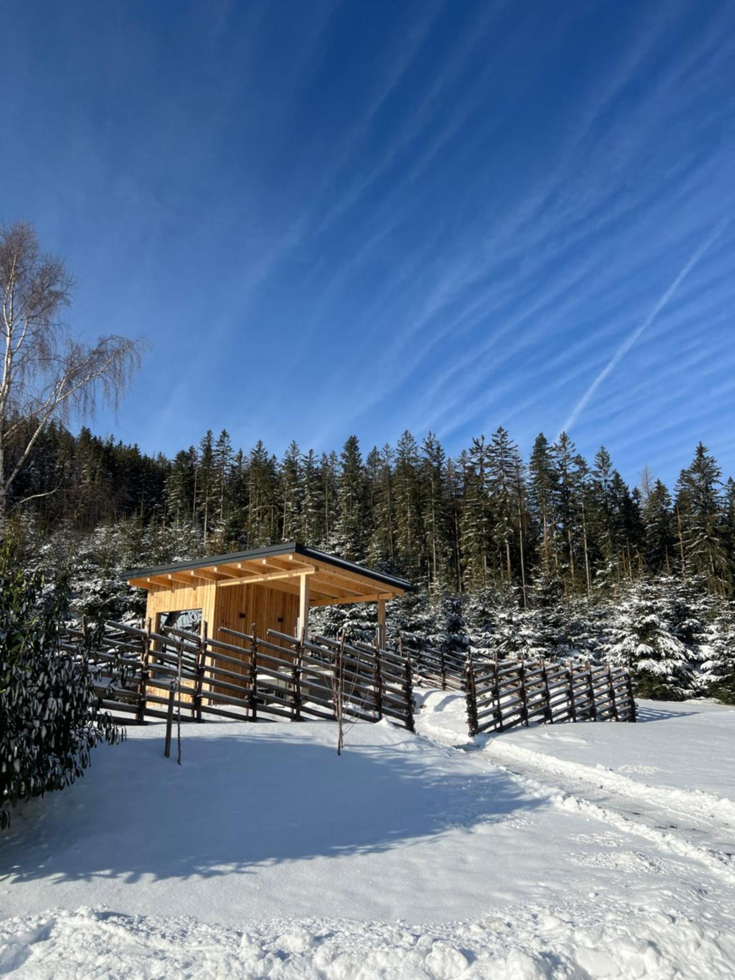 Waldheimatblick Villa Sankt Kathrein am Hauenstein Kültér fotó